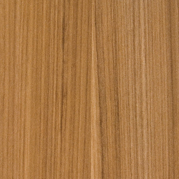 Arizona Cypress