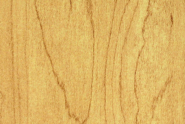 Hard Rock Maple